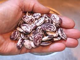لوبیاعروس بسته500گرمی