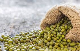 ماش بسته500گرمی